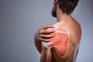 soft tissue in the shoulder