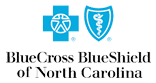 Blue Cross Blue Shield